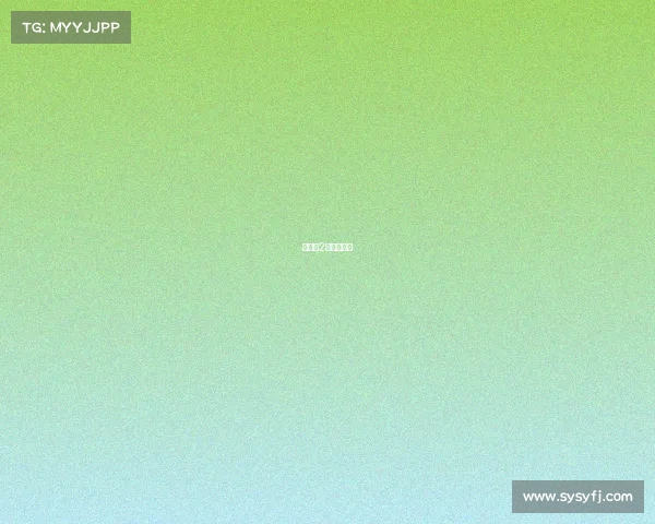 女排第2轮赛事直播