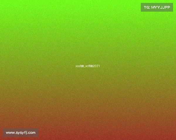 xcat赛事_xctf联赛2021